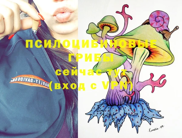 твердый Богданович